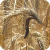 Image of ergot disease on wheat