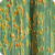 Wheat leaf rust picture